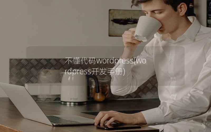 不懂代码wordpress(wordpress开发手册)