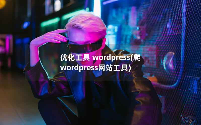 优化工具 wordpress(爬wordpress网站工具)