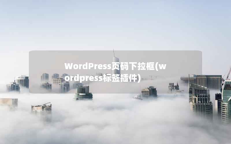 WordPress页码下拉框(wordpress标签插件)