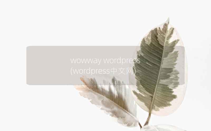 wowway wordpress(wordpress中文网)