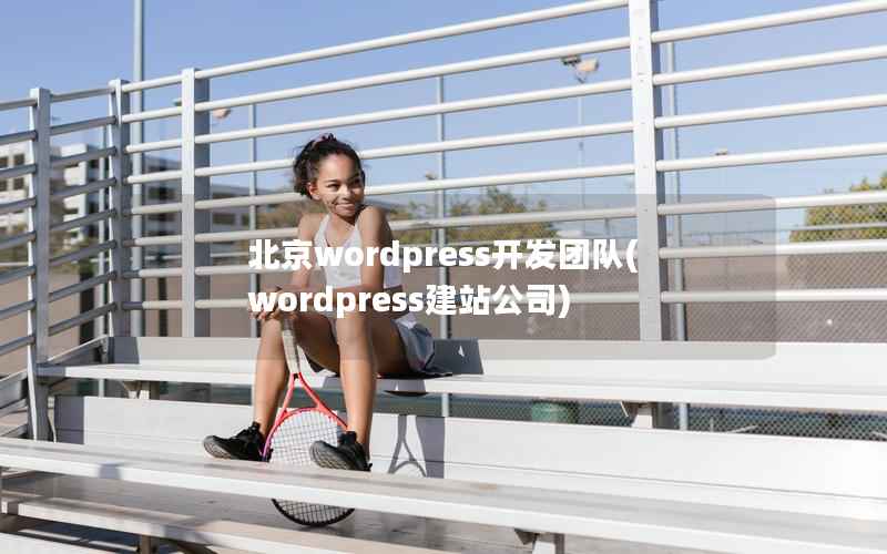 北京wordpress开发团队(wordpress建站公司)