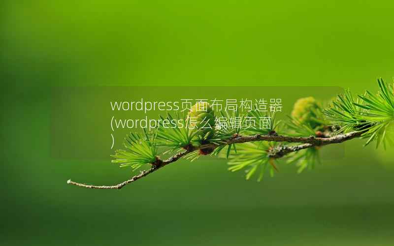 wordpress页面布局构造器(wordpress怎么编辑页面)