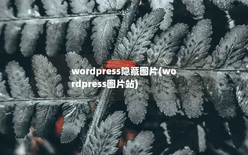 wordpress隐藏图片(wordpress图片站)