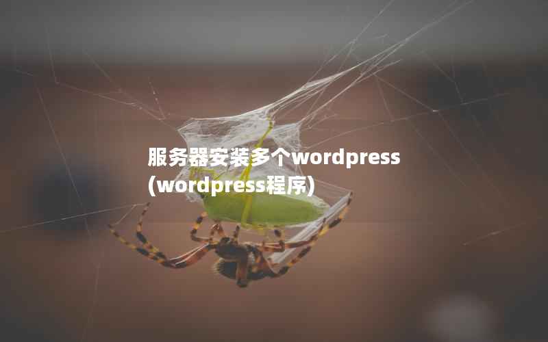 服务器安装多个wordpress(wordpress程序)