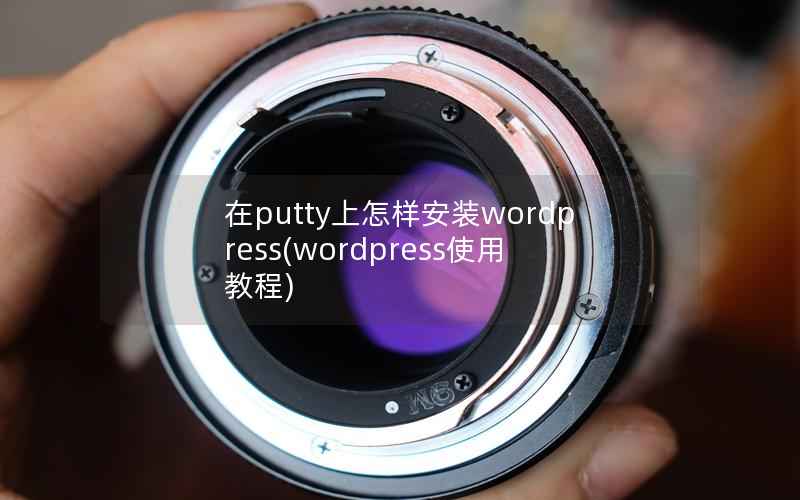 在putty上怎样安装wordpress(wordpress使用教程)