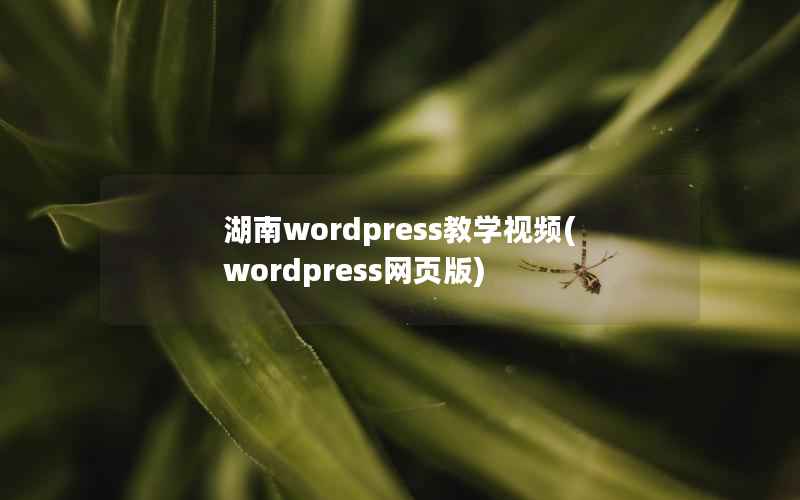 湖南wordpress教学视频(wordpress网页版)