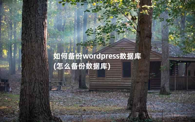 如何备份wordpress数据库(怎么备份数据库)