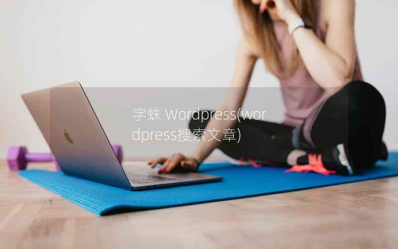 字蛛 Wordpress(wordpress搜索文章)