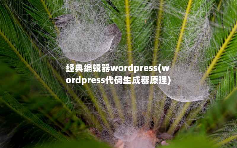 经典编辑器wordpress(wordpress代码生成器原理)