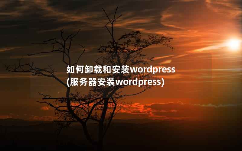 如何卸载和安装wordpress(服务器安装wordpress)