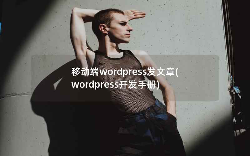 移动端wordpress发文章(wordpress开发手册)