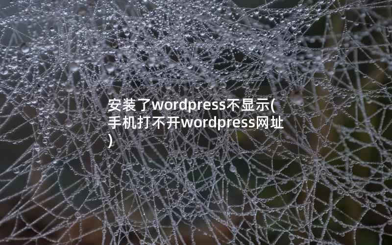 安装了wordpress不显示(手机打不开wordpress网址)