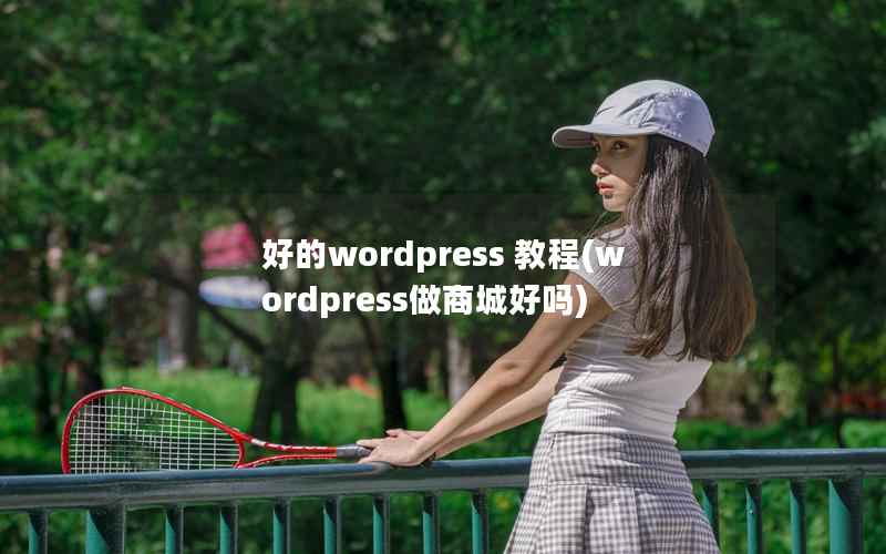 好的wordpress 教程(wordpress做商城好吗)