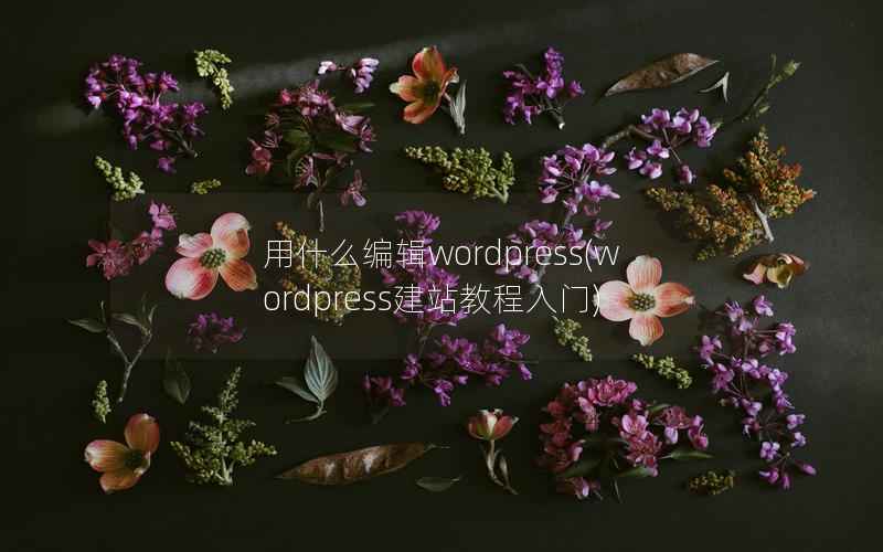 用什么编辑wordpress(wordpress建站教程入门)