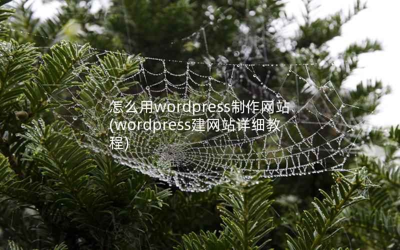 怎么用wordpress制作网站(wordpress建网站详细教程)