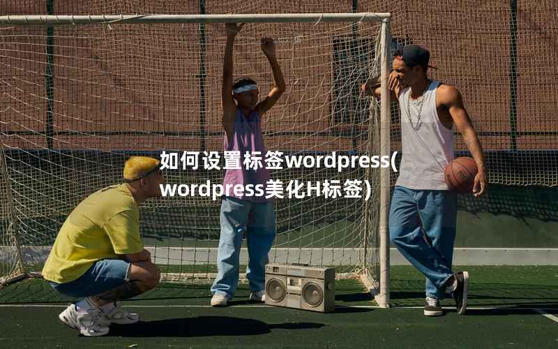 如何设置标签wordpress(wordpress美化H标签)