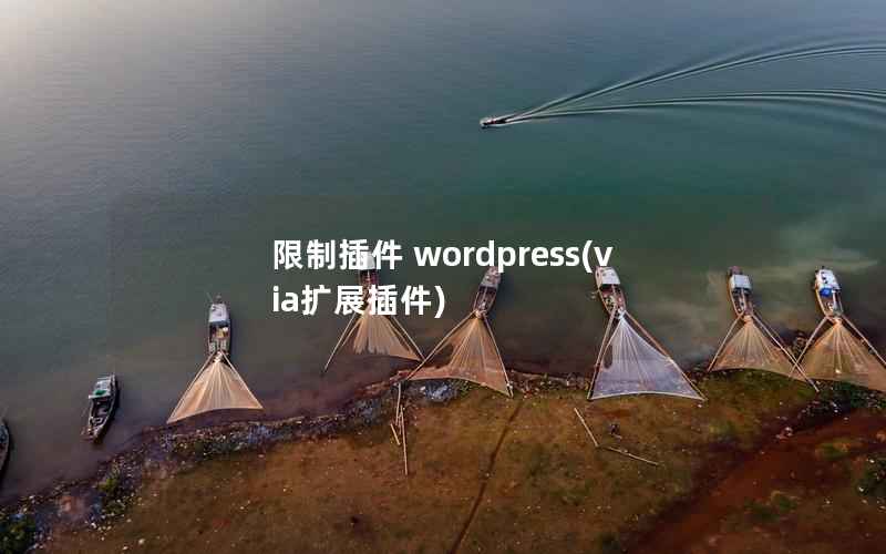 限制插件 wordpress(via扩展插件)