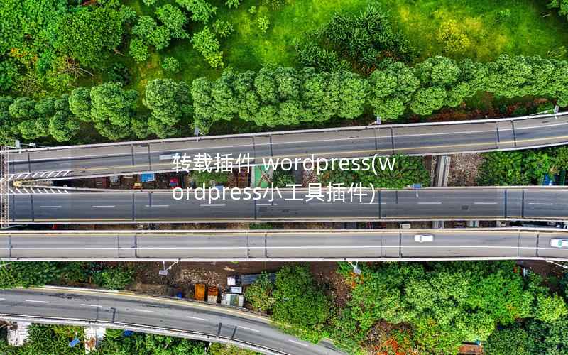 转载插件 wordpress(wordpress小工具插件)