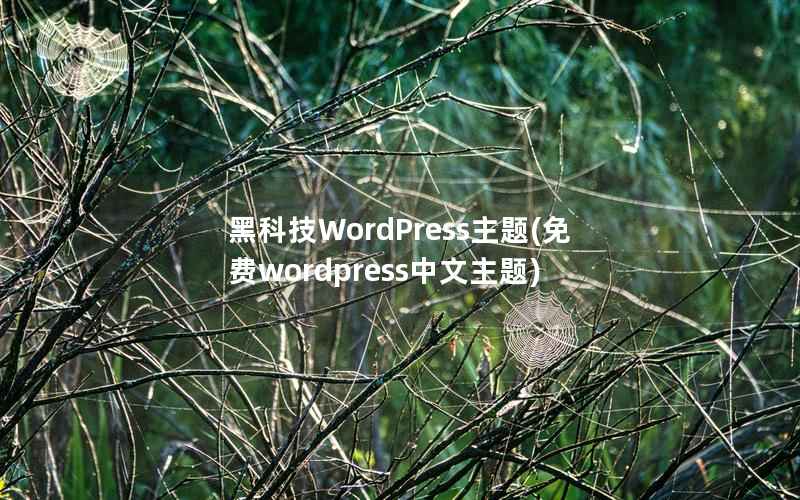 黑科技WordPress主题(免费wordpress中文主题)