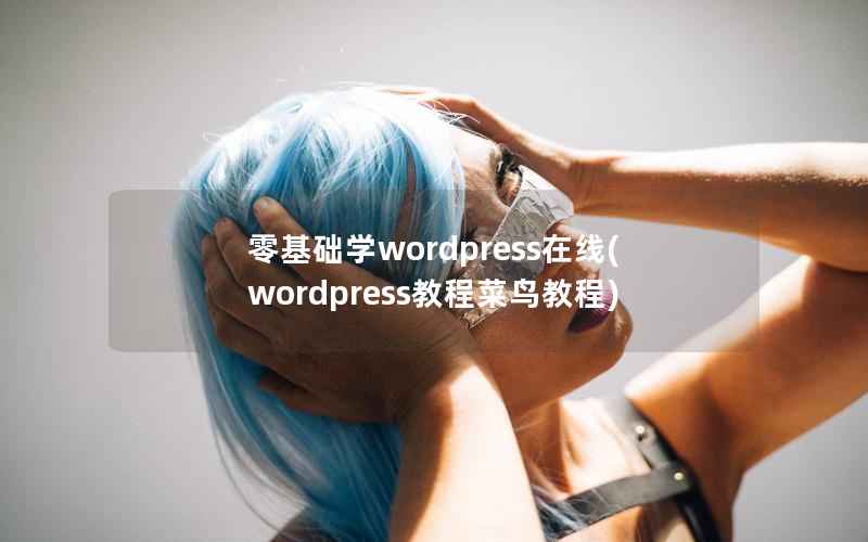 零基础学wordpress在线(wordpress教程菜鸟教程)