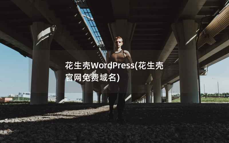 花生壳WordPress(花生壳官网免费域名)