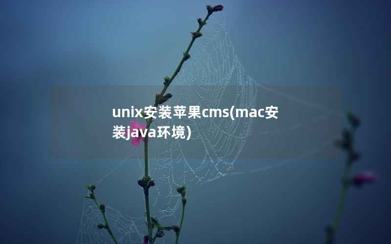 unix安装苹果cms(mac安装java环境)