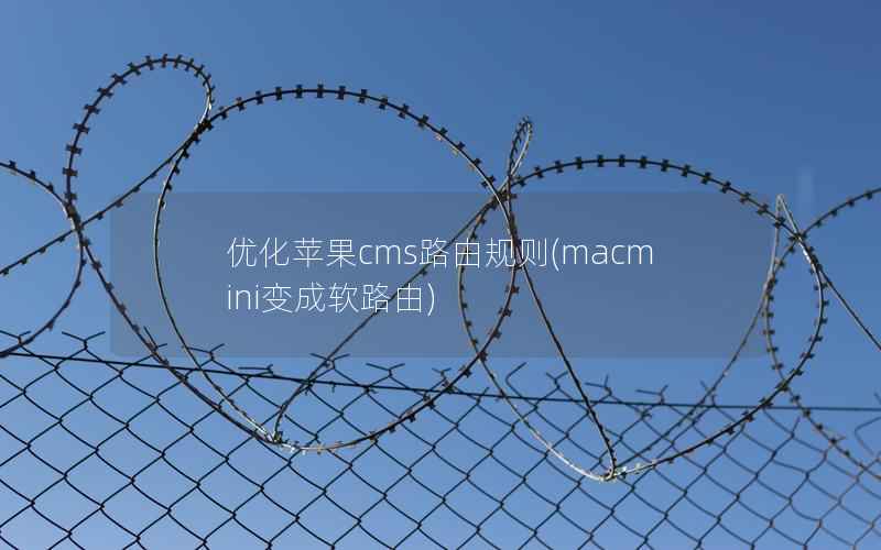 优化苹果cms路由规则(macmini变成软路由)