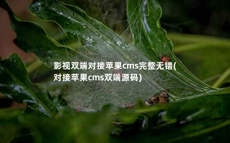 影视双端对接苹果cms完整无错(对接苹果cms双端源码)