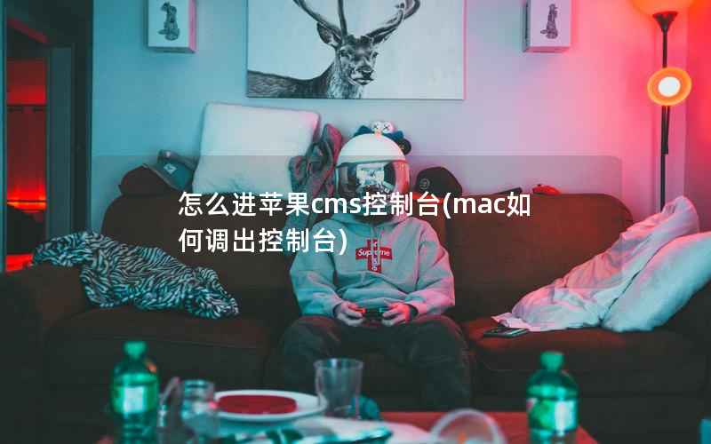 怎么进苹果cms控制台(mac如何调出控制台)