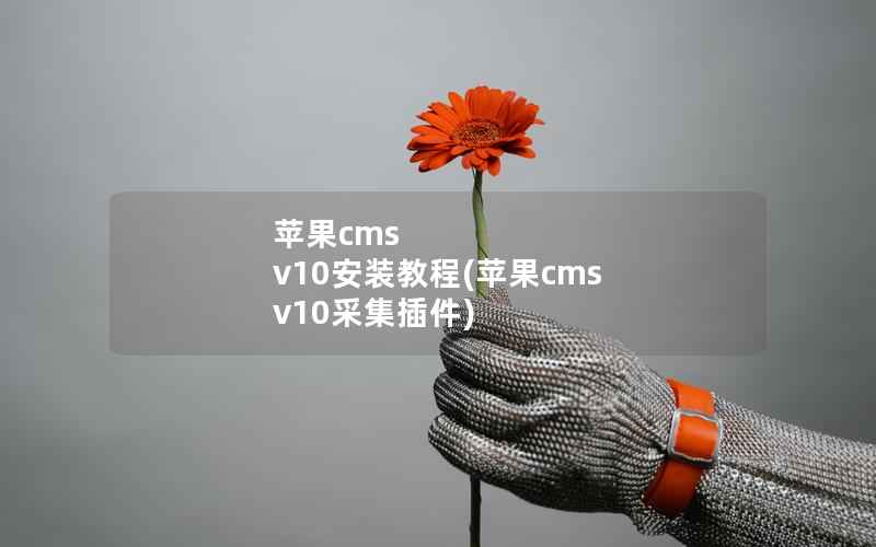 苹果cms v10安装教程(苹果cms v10采集插件)