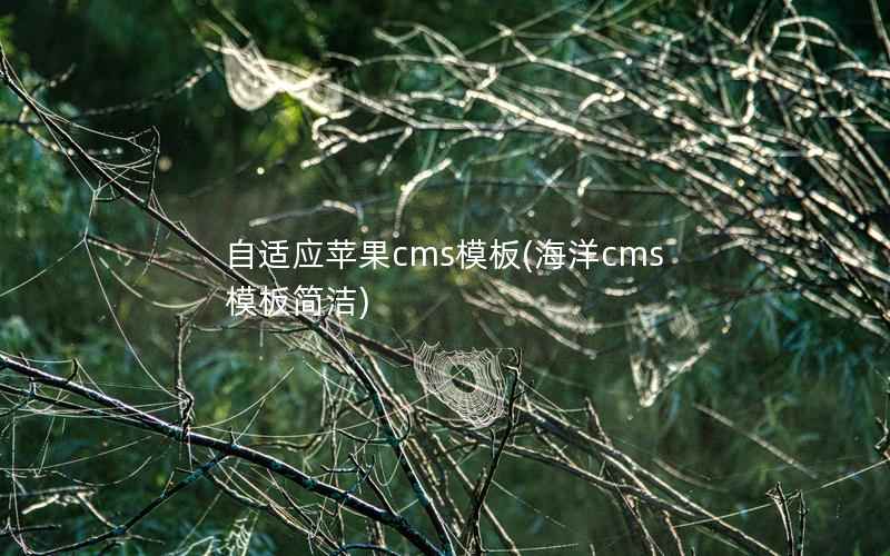 自适应苹果cms模板(海洋cms模板简洁)