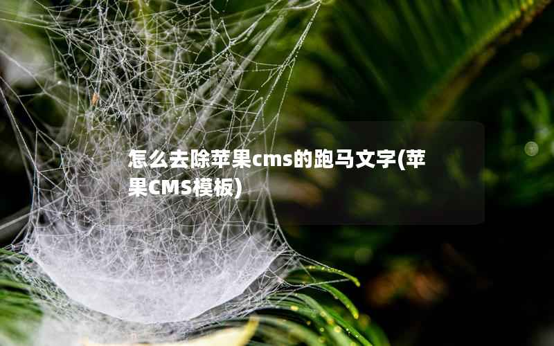 怎么去除苹果cms的跑马文字(苹果CMS模板)