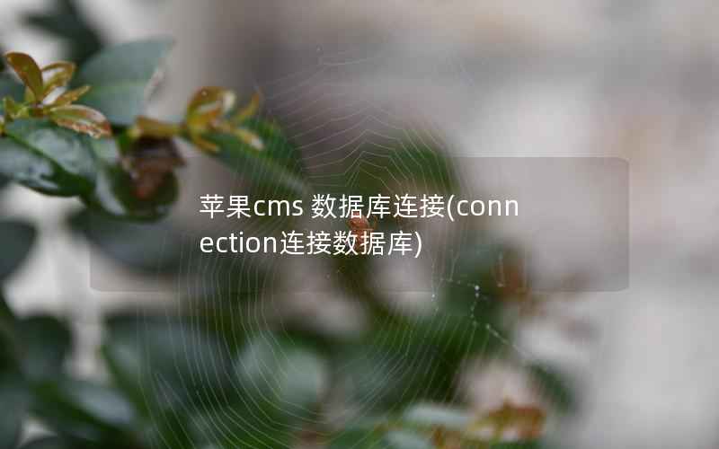 苹果cms 数据库连接(connection连接数据库)