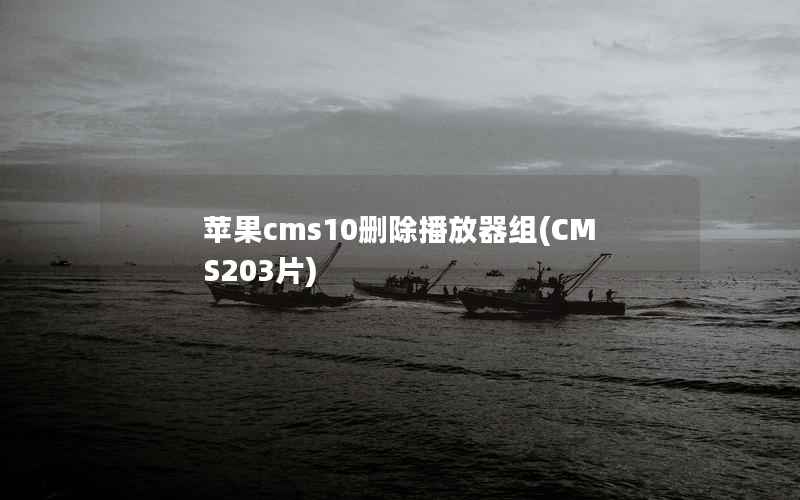 苹果cms10删除播放器组(CMS203片)