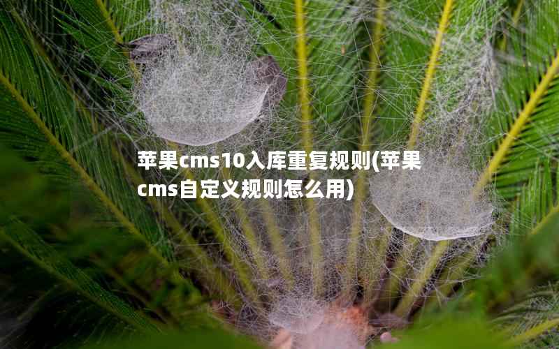 苹果cms10入库重复规则(苹果cms自定义规则怎么用)