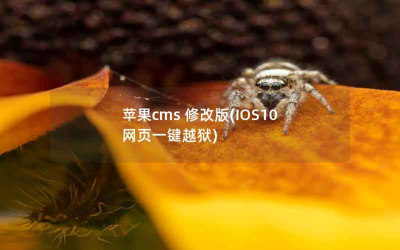 苹果cms 修改版(IOS10 网页一键越狱)