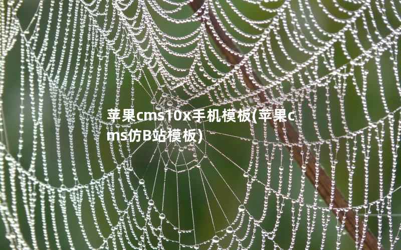 苹果cms10x手机模板(苹果cms仿B站模板)