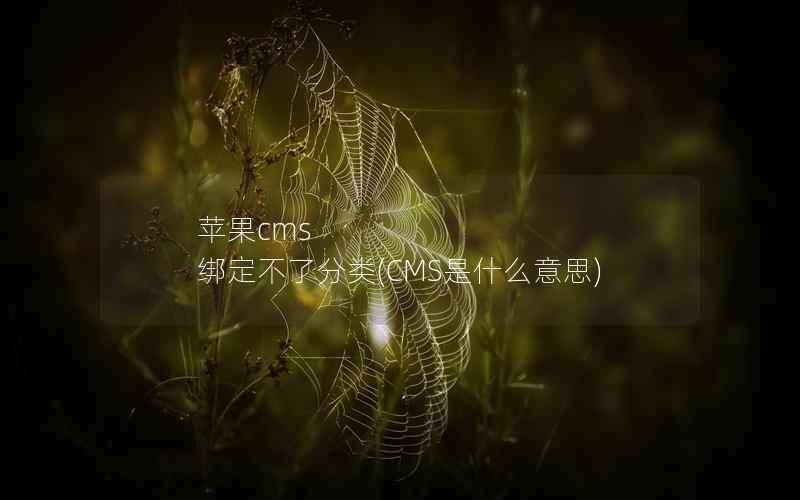 苹果cms 绑定不了分类(CMS是什么意思)