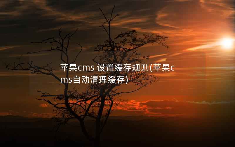 苹果cms 设置缓存规则(苹果cms自动清理缓存)