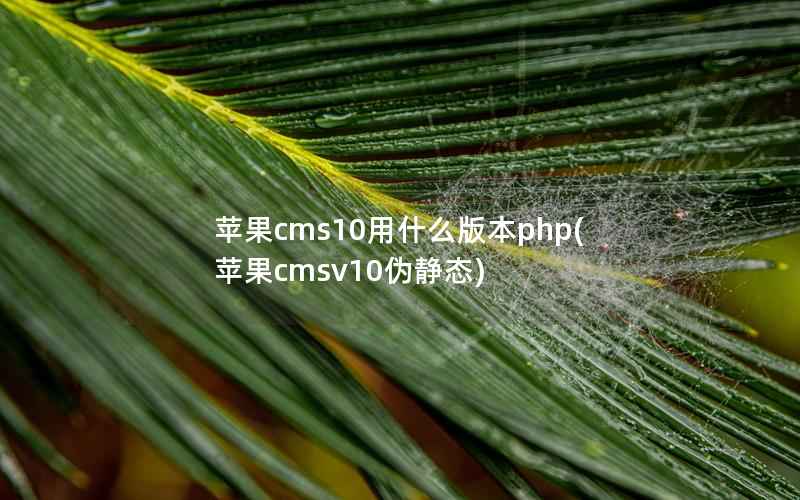 苹果cms10用什么版本php(苹果cmsv10伪静态)