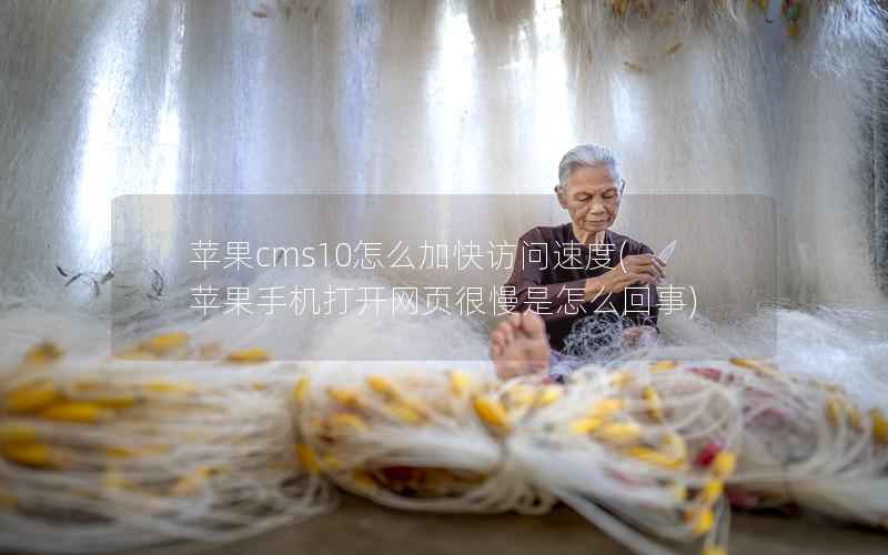 苹果cms10怎么加快访问速度(苹果手机打开网页很慢是怎么回事)