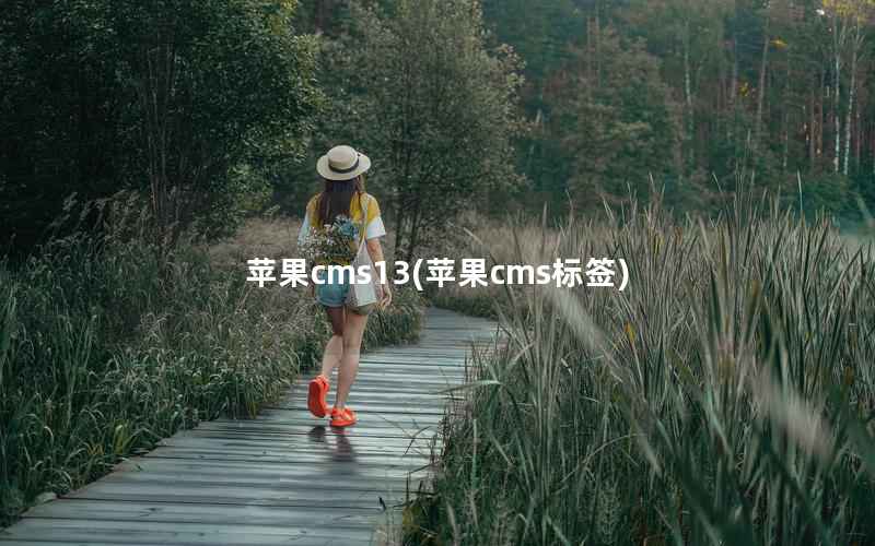 苹果cms13(苹果cms标签)