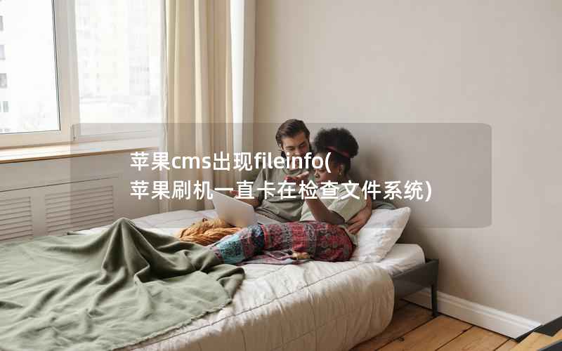 苹果cms出现fileinfo(苹果刷机一直卡在检查文件系统)