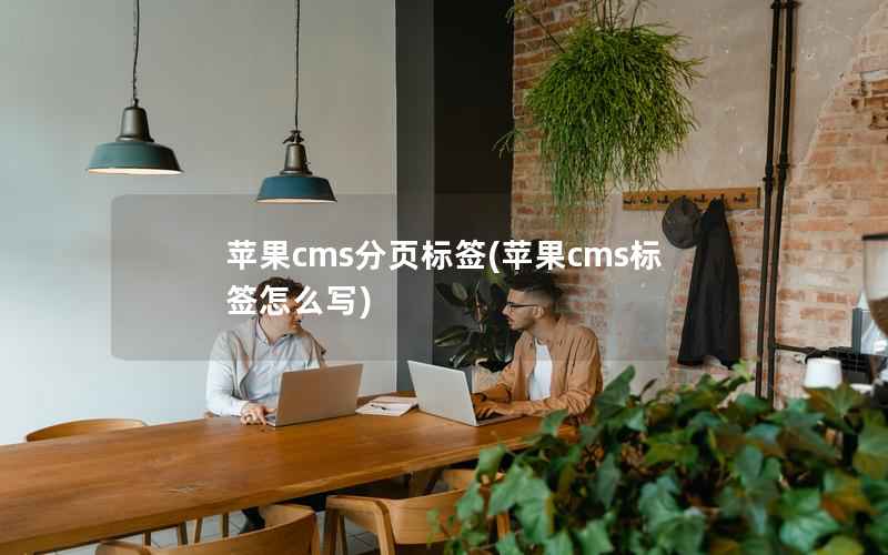 苹果cms分页标签(苹果cms标签怎么写)