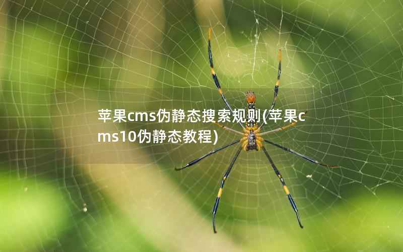 苹果cms伪静态搜索规则(苹果cms10伪静态教程)