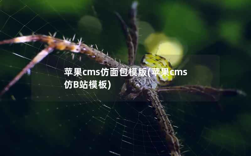 苹果cms仿面包模版(苹果cms仿B站模板)