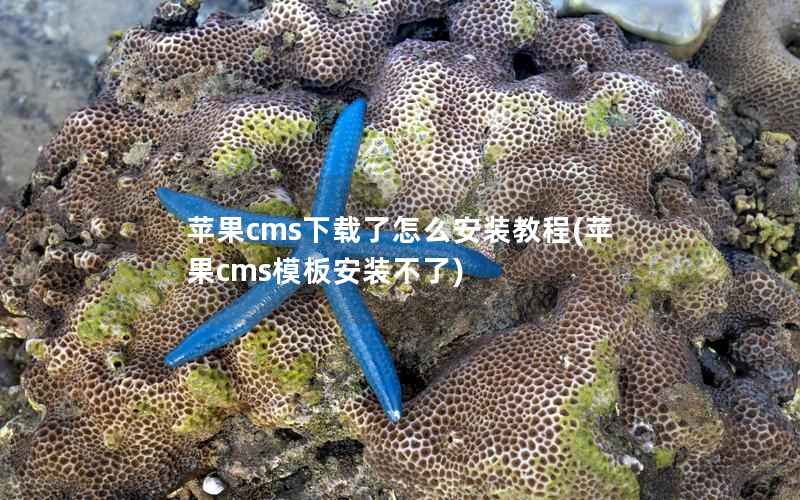 苹果cms下载了怎么安装教程(苹果cms模板安装不了)