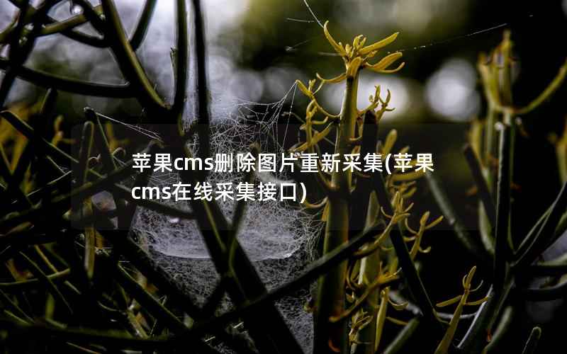 苹果cms删除图片重新采集(苹果cms在线采集接口)