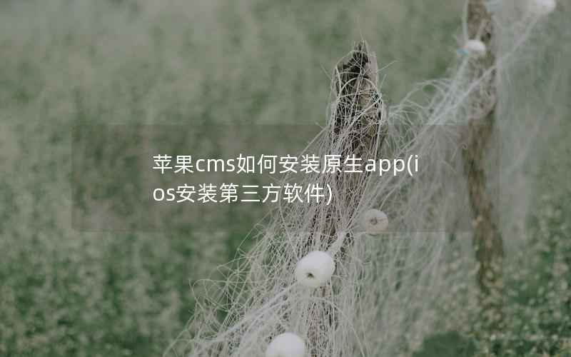 苹果cms如何安装原生app(ios安装第三方软件)