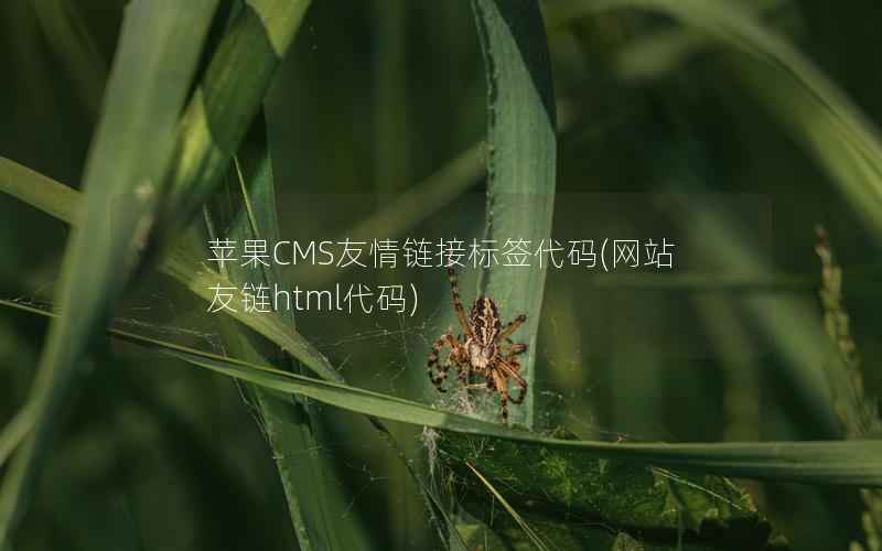 苹果CMS友情链接标签代码(网站友链html代码)